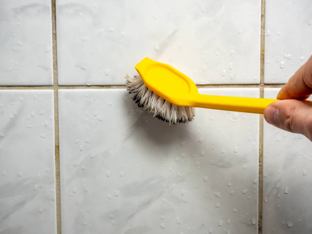 Mold Removal Process in Glencoe, FL