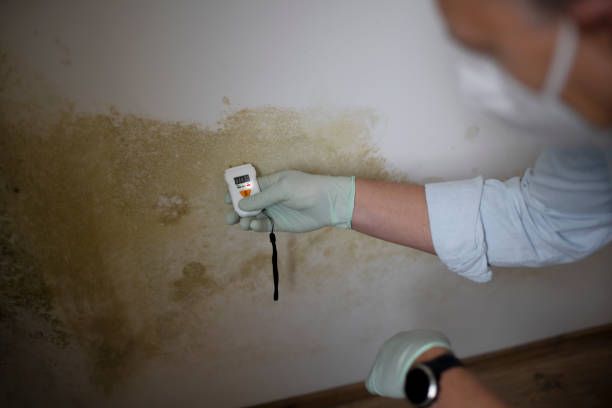 Water Damage Restoration in Glencoe, FL